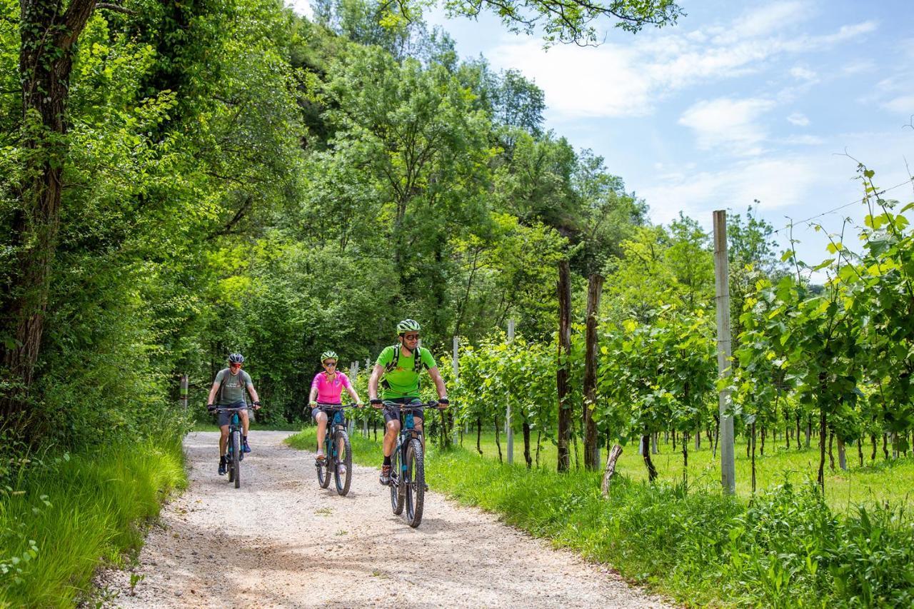 Agriturismo Vidalli Colvidor Βίλα Εξωτερικό φωτογραφία